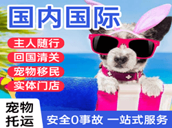 右旗巴丹吉林航空物流国际宠物托运 【国